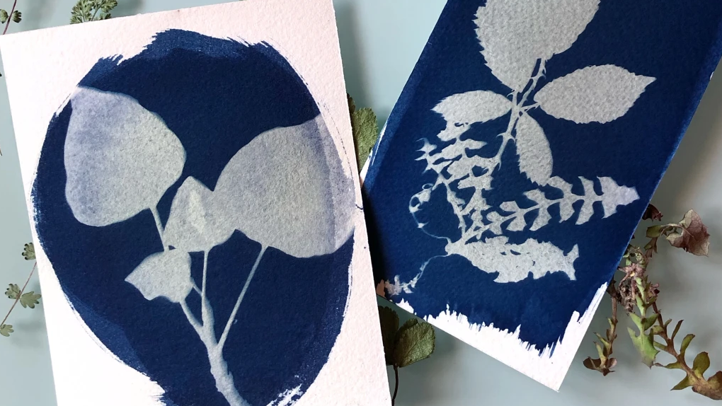 Ejemplos de cianotipia con hojas naturales sobre papel